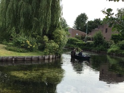 Le 04/06/19 : En cours d'évaluation pour curage 